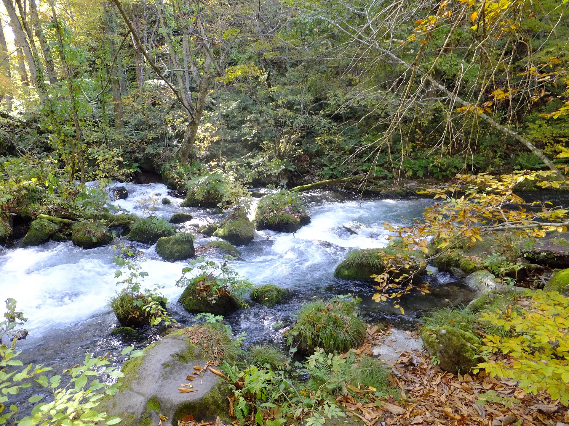 Herbstlicher Oirase-Flussweg ohne grosses Gepäck