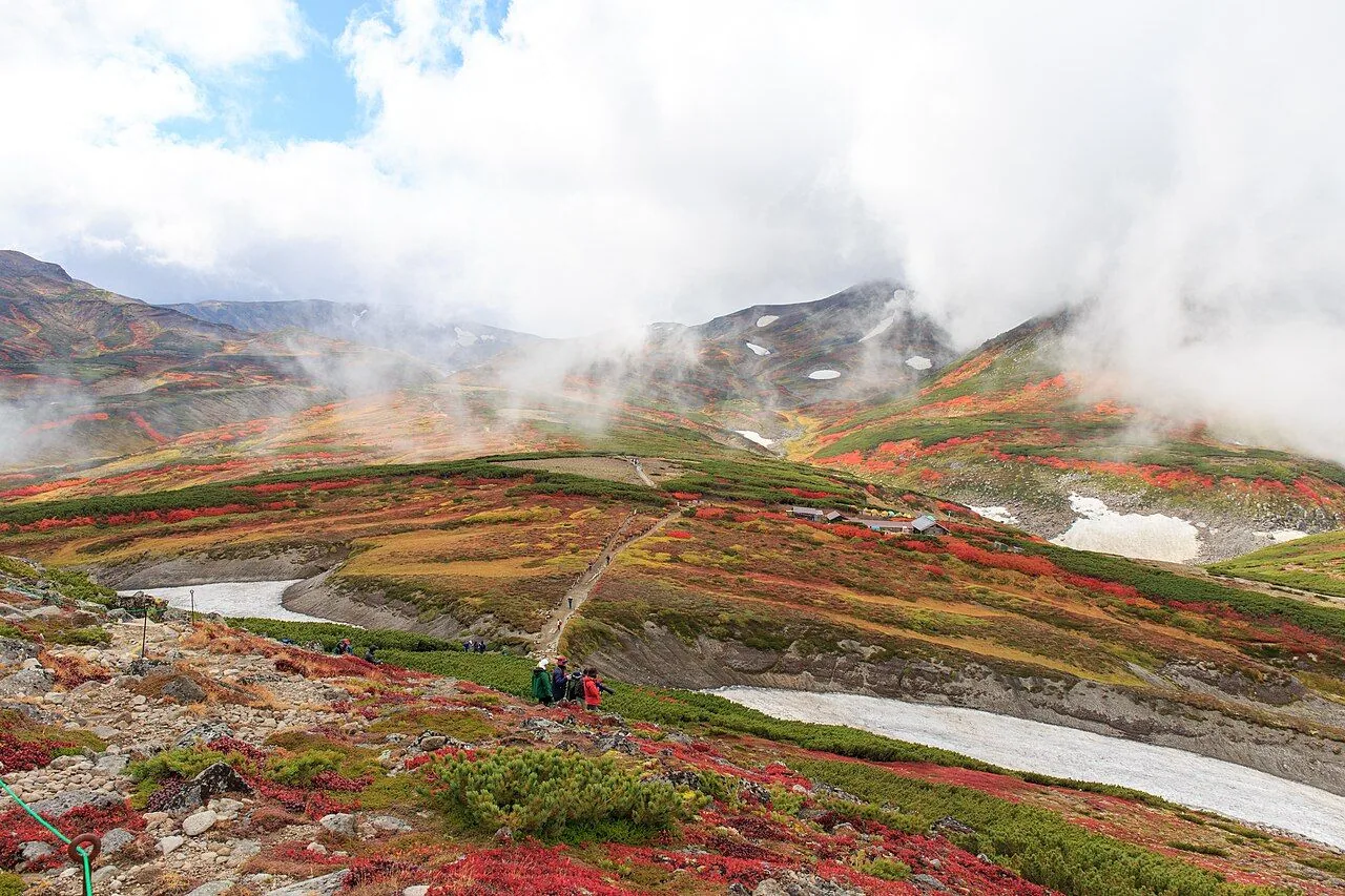 Herbstlaub und Weg am Kurodake in Hokkaido