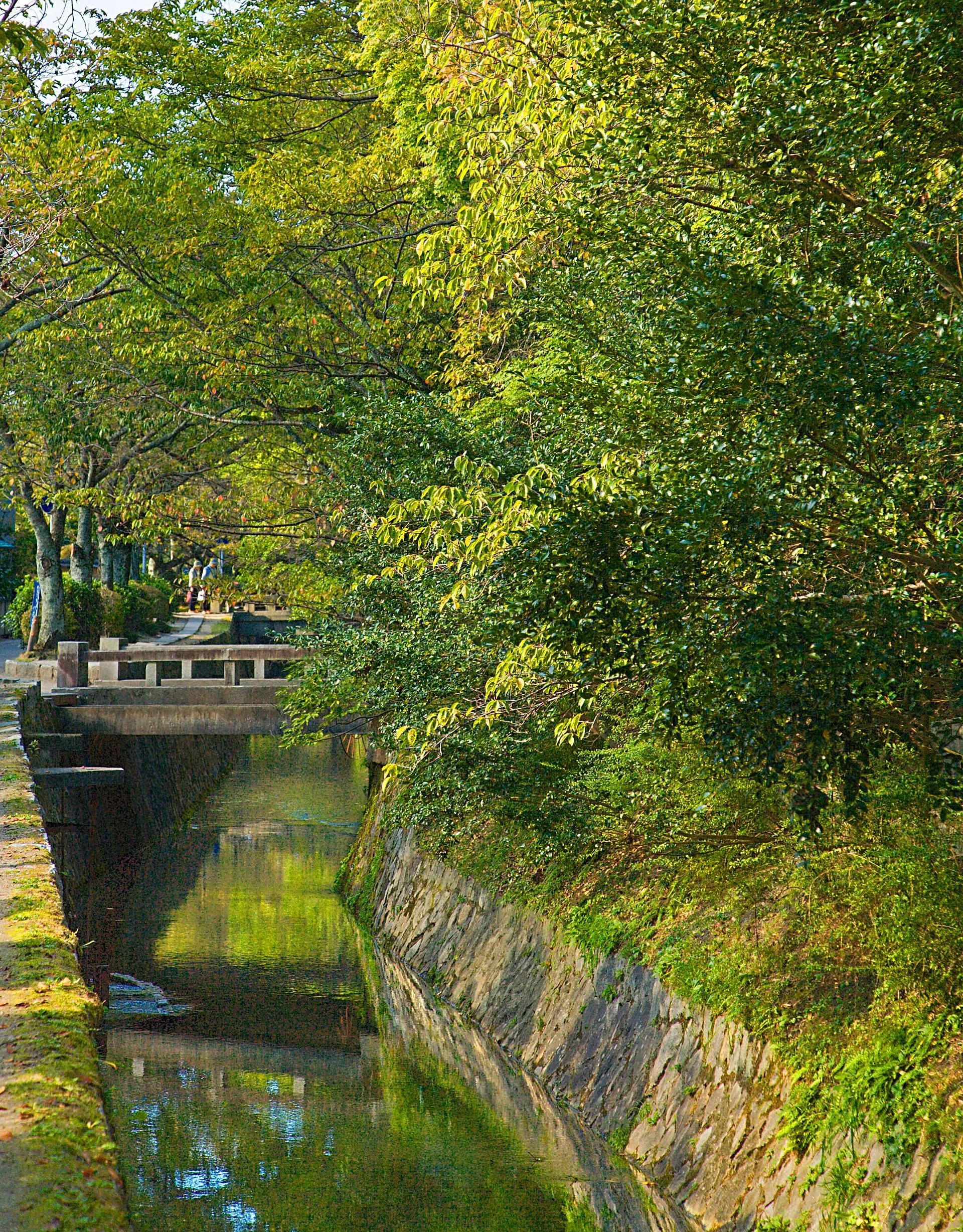 Philosophenweg im Herbst in Kyoto
