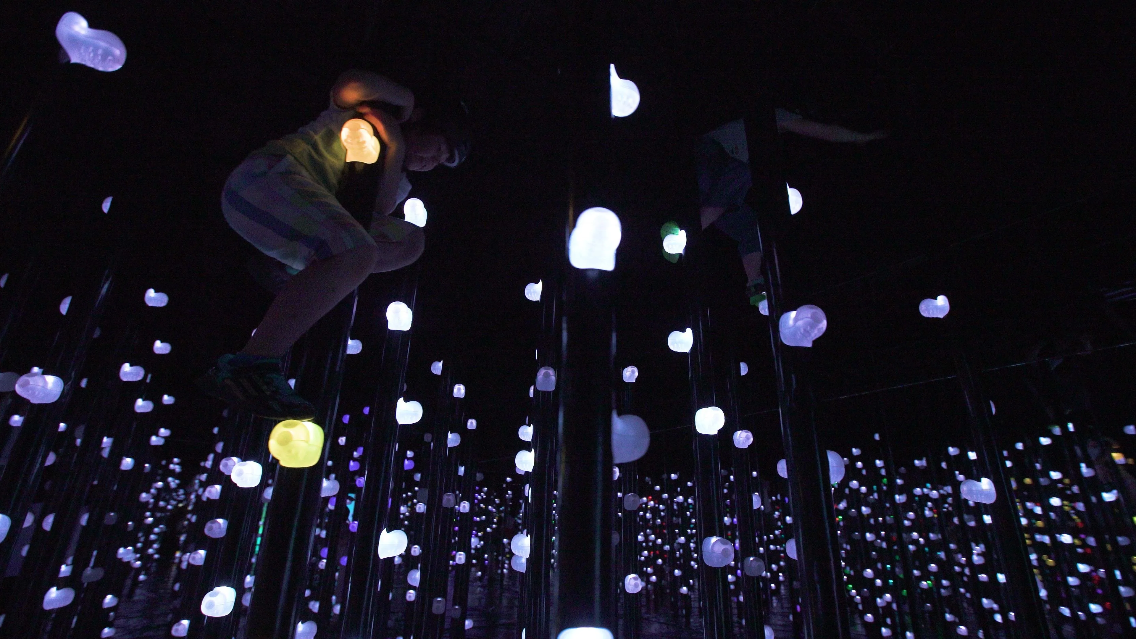 Athletics Forest in teamLab Biovortex Kyoto