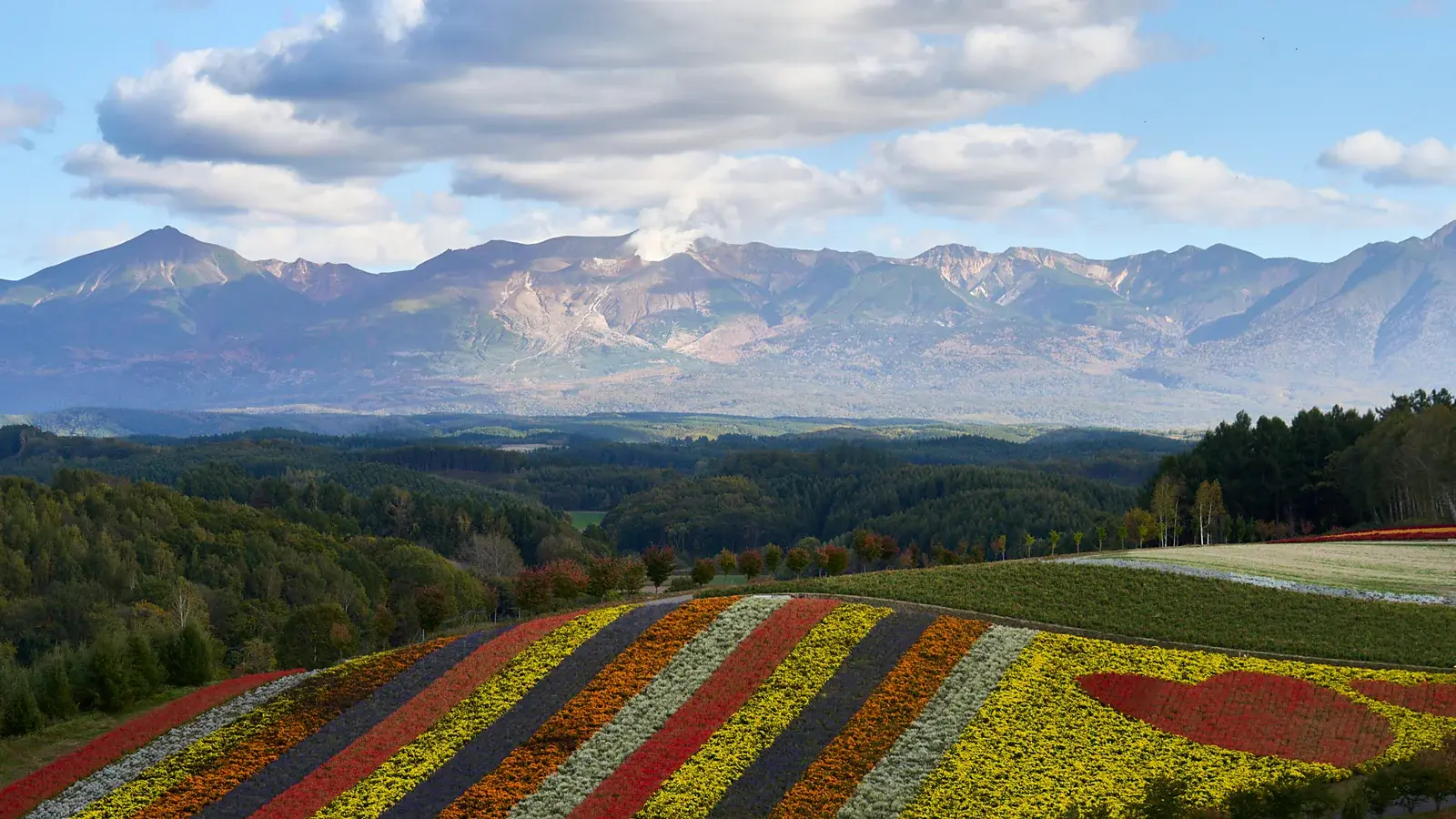 Furano in Hokkaido im Juli