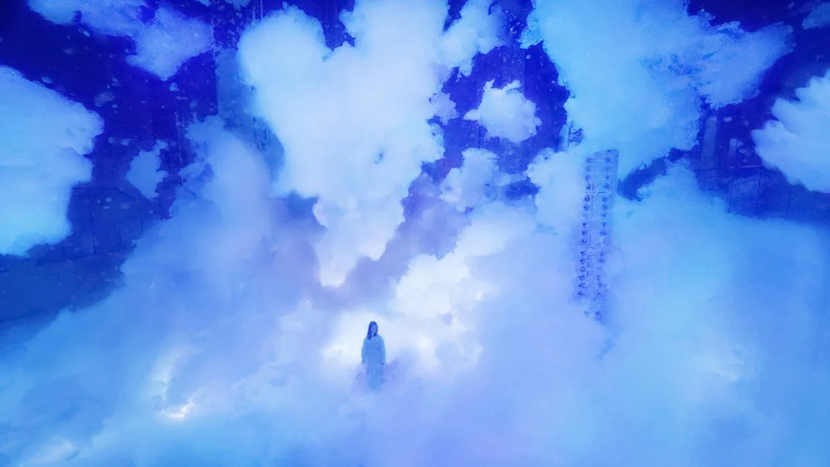 teamLab Biovortex Kyoto Massless Amorphous Sculpture