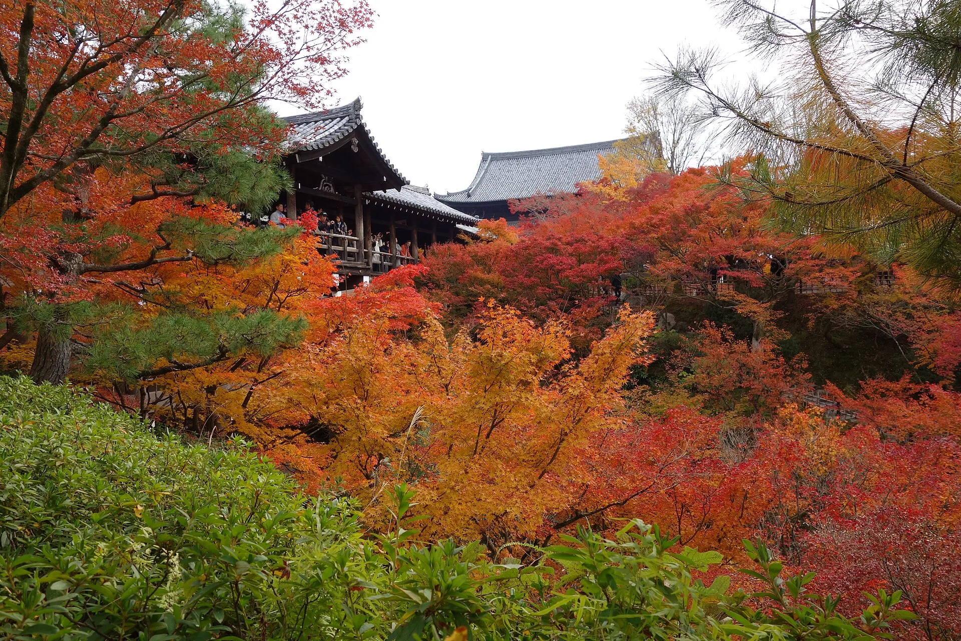 Tōfuku-ji und spätes Herbstlaub in Kyoto