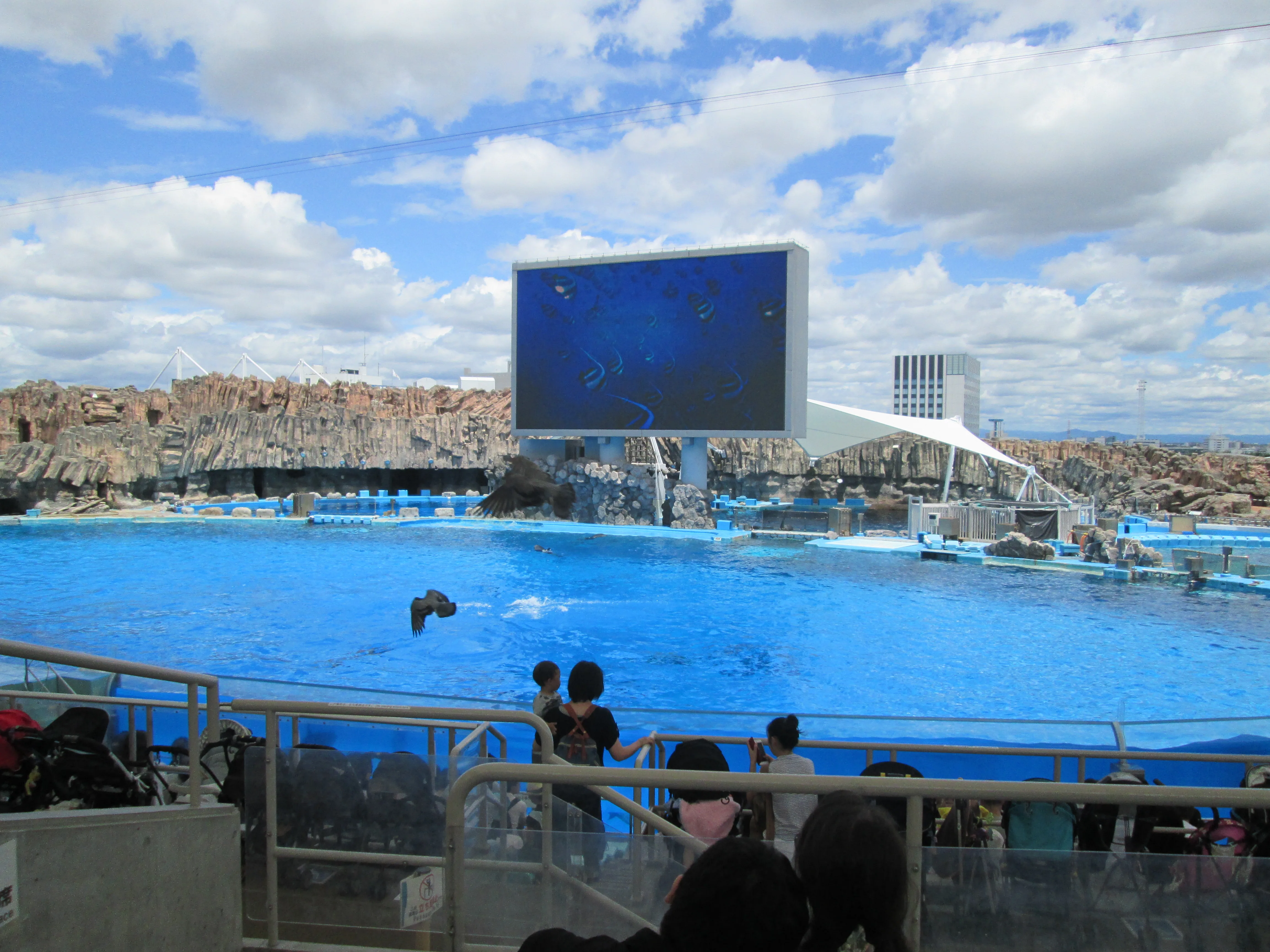 Delfinshow im Nagoya Port Aquarium