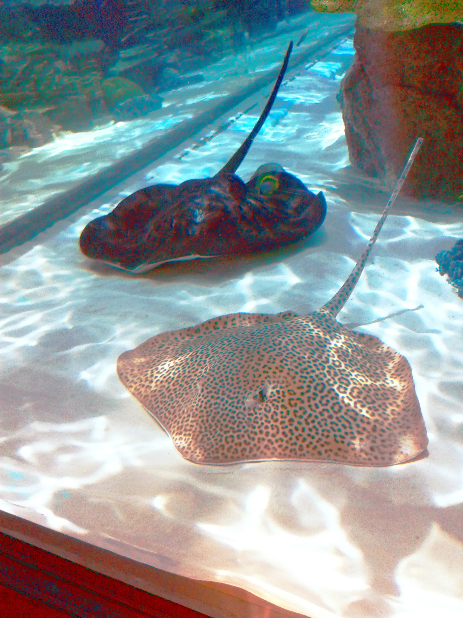Ausstellungsbereiche im Nagoya Port Aquarium