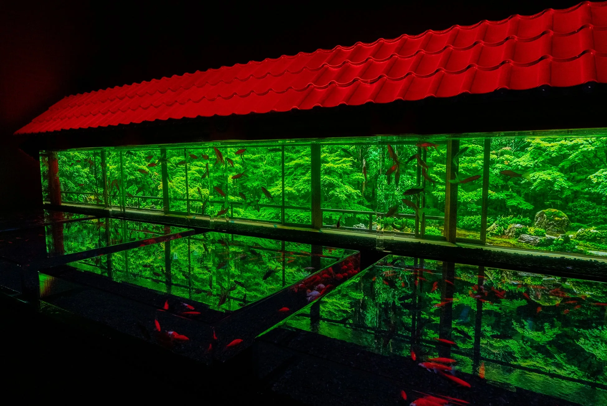 Goldfisch-Installation im Nagoya Art Aquarium