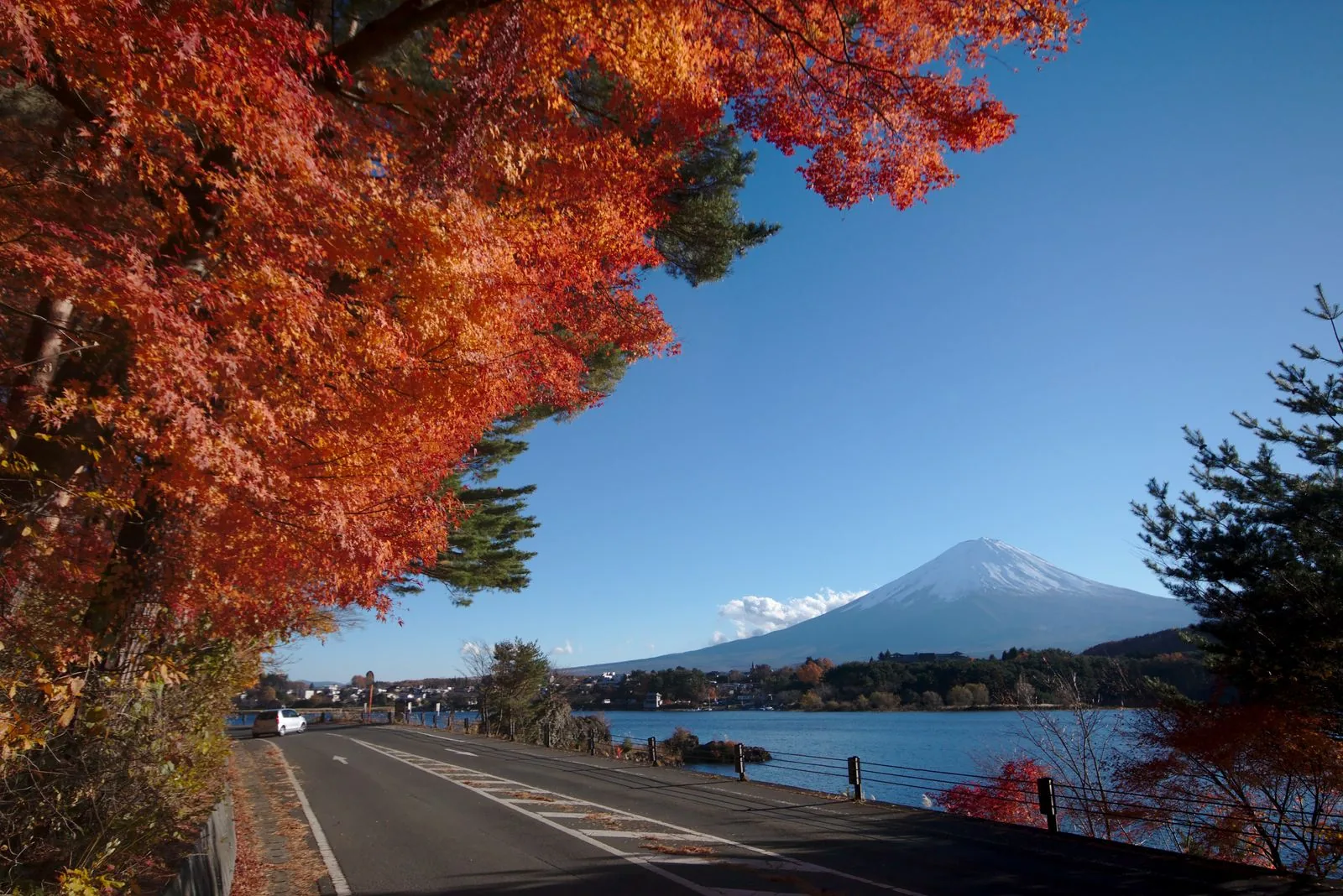 Nordufer von Kawaguchiko mit Herbstlaub