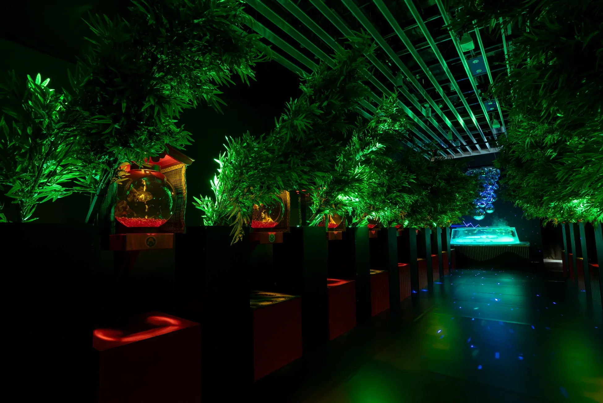 HANAMAI Goldfisch-Installation im Nagoya Art Aquarium