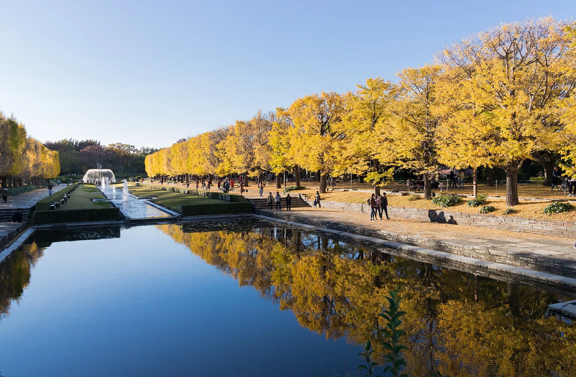 Showa-Kinen-Park im Herbst