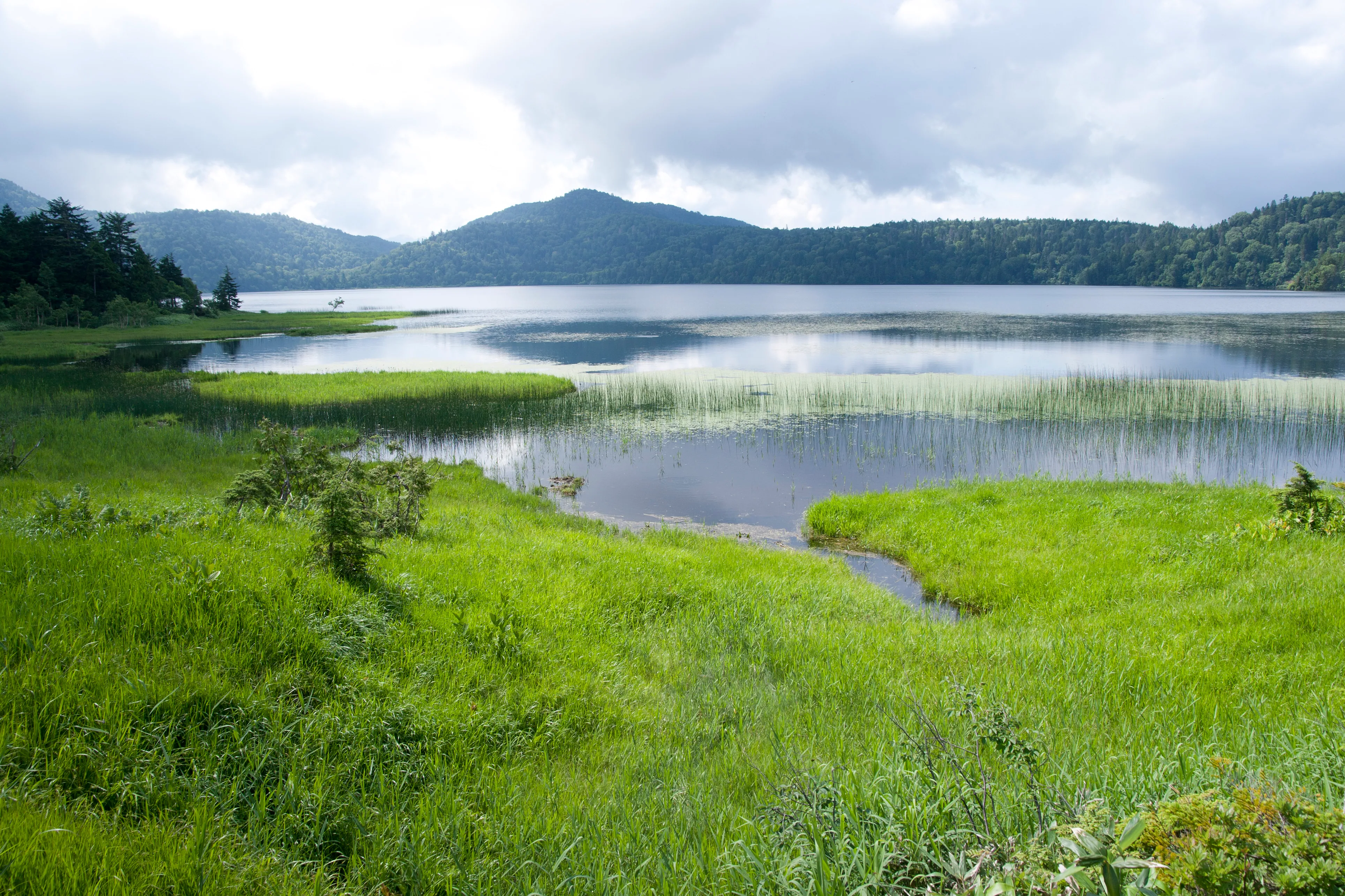 Ozenuma und Senjō-numa als seeartige Landschaft in Oze