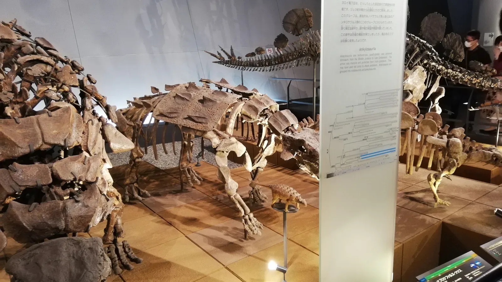Dinosauriermuseum in Fukui als voller Reisetag